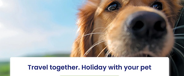 Pet-Friendly Ferry Travel To France And Spain